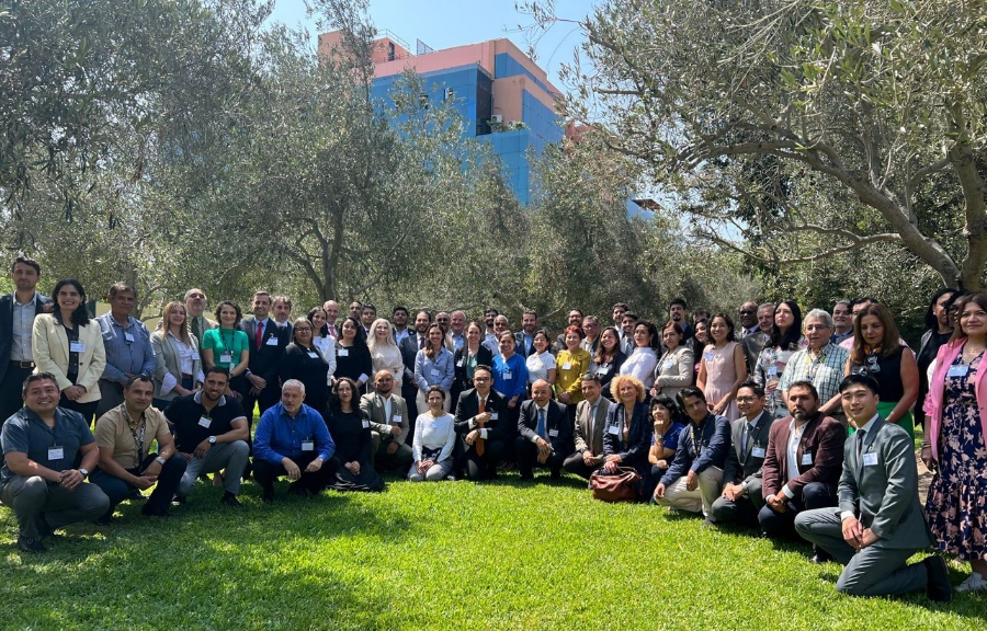 CAR SAM Workshop on Language Proficiency Requirements LPR Lima Peru April 23rd - 25th 2024